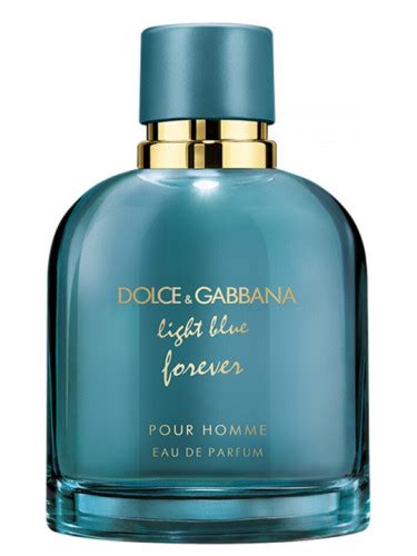 dolce gabbana light blue homme 100ml|dolce and gabbana light blue forever.